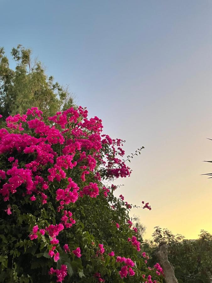 Villa Maina Kamári Esterno foto